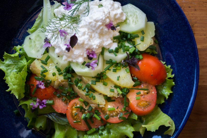 kogujuustukartulisalat (1)