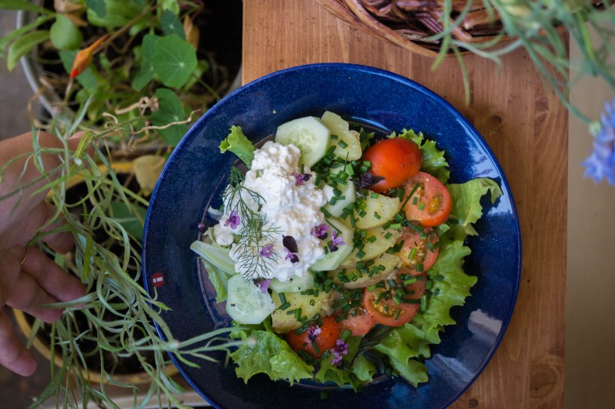 kogujuustukartulisalat (14)