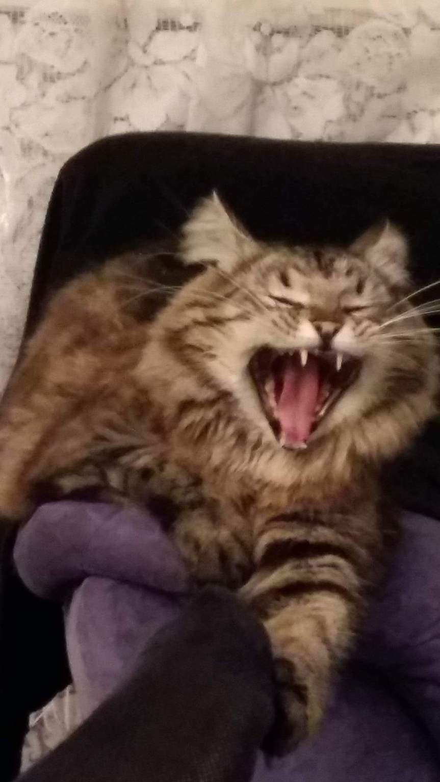 received_1418003011556900