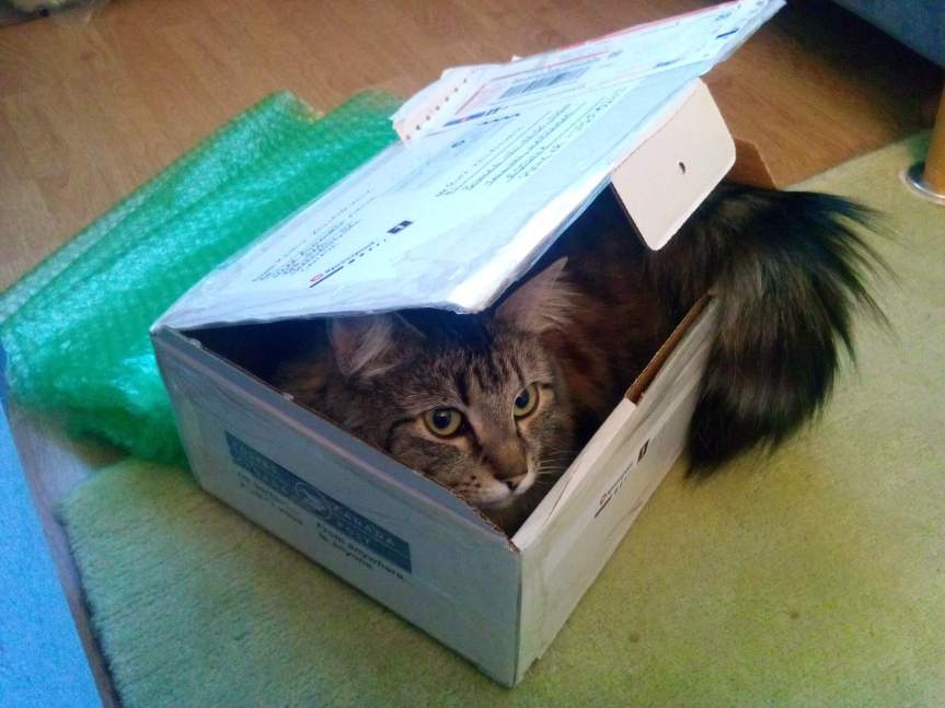 received_1428127117240005