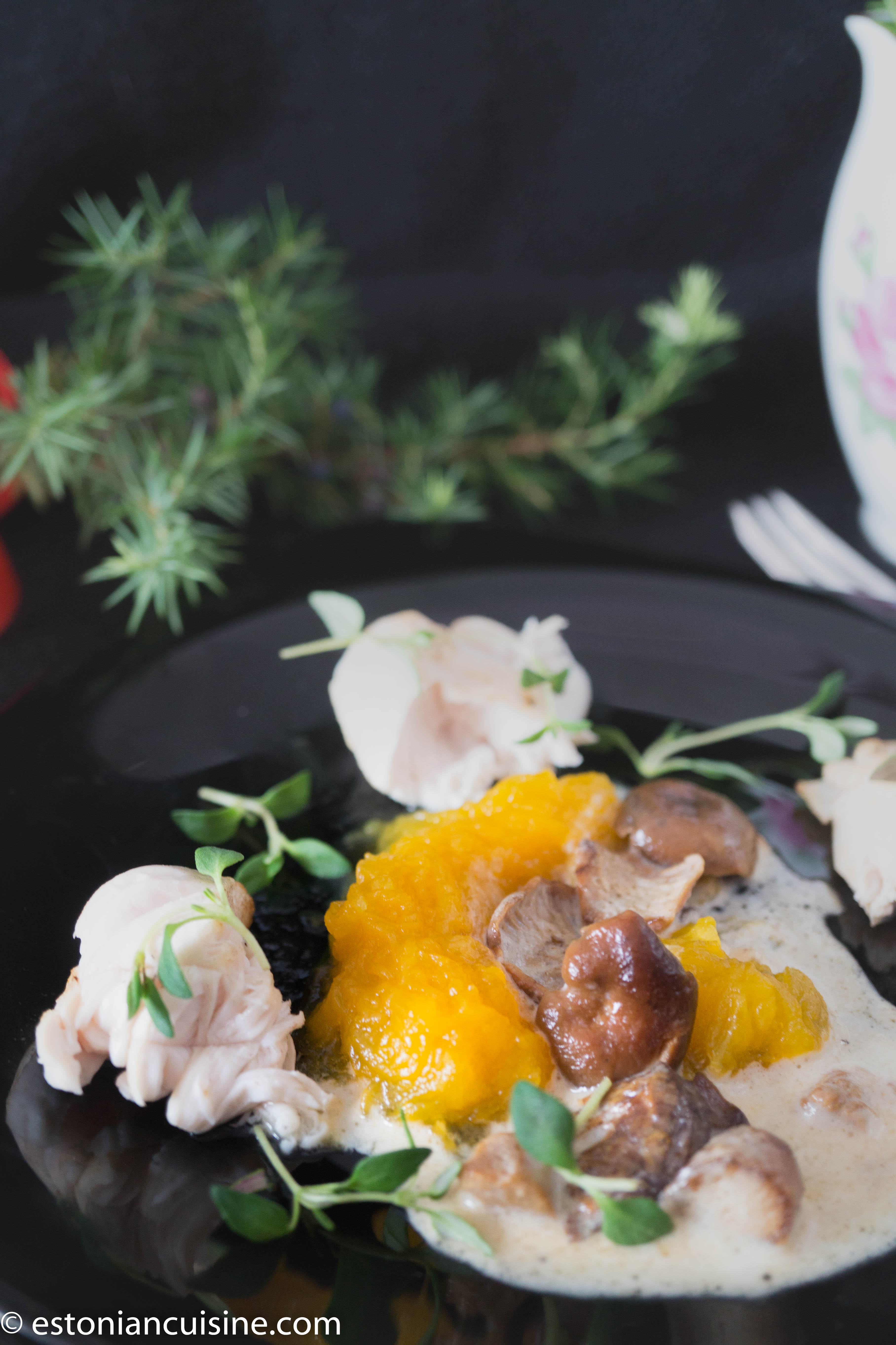 junipermushroom (11)