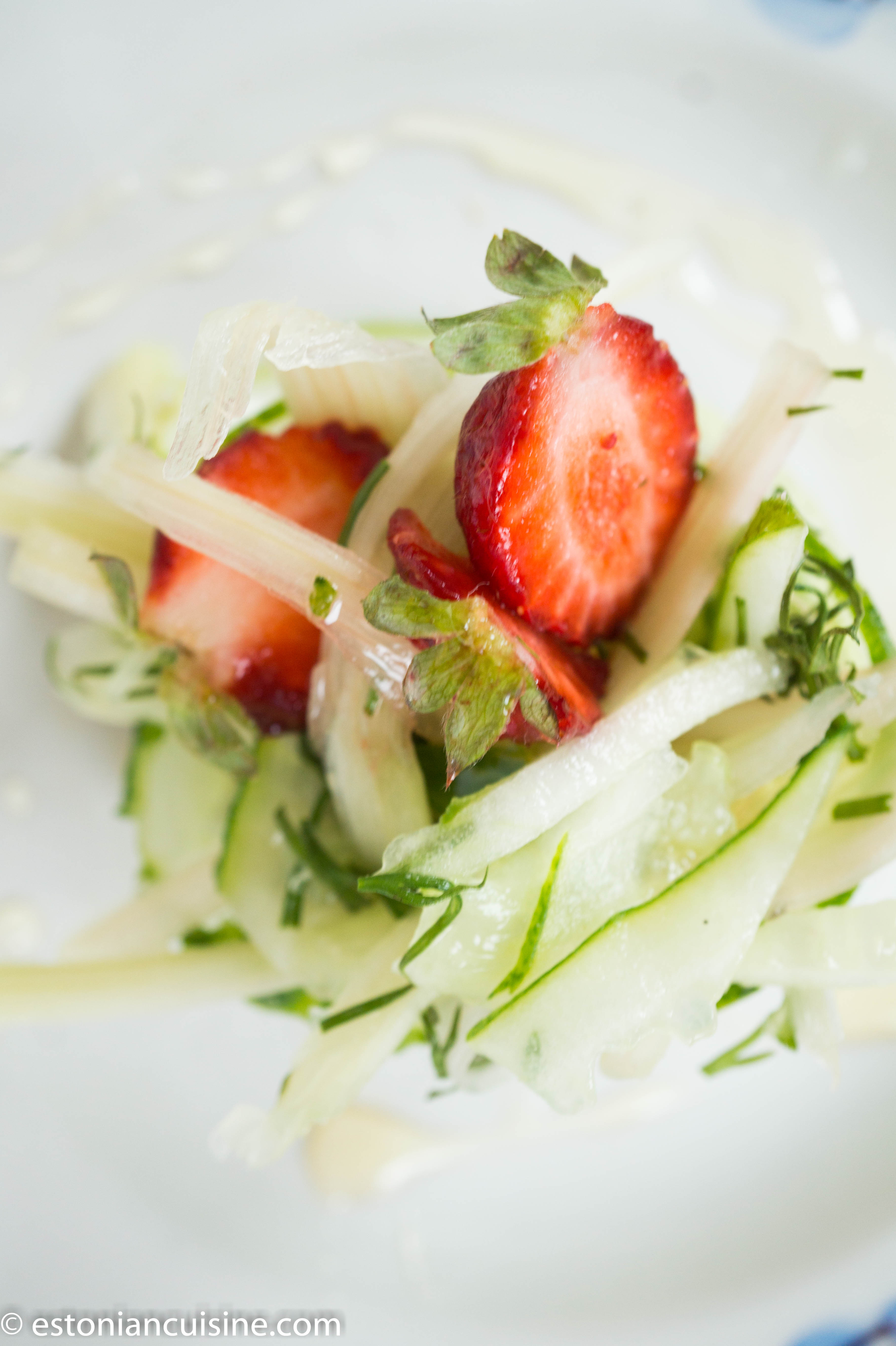 rhubarbcucumbsalad (10)