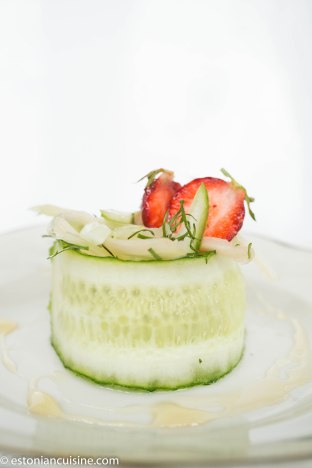 rhubarbcucumbsalad (2)