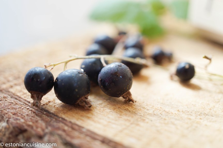 blackcurrants (11)