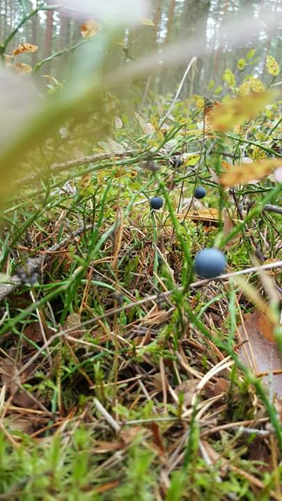 df8749de1c21144e1f8ac371a52d47c2-0